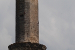 White Stork on a ruined minaret